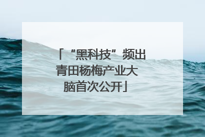 “黑科技”频出 青田杨梅产业大脑首次公开