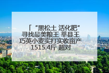 “黑松土 活化肥”寻找最美粮王 莘县王巧英小麦实打实收亩产1515.4斤 超对照田144斤！