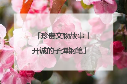 珍贵文物故事丨开诚的子弹钢笔