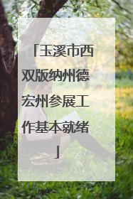 玉溪市西双版纳州德宏州参展工作基本就绪