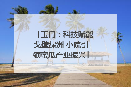 玉门：科技赋能戈壁绿洲 小院引领蜜瓜产业振兴
