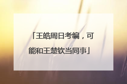 王皓周日考编，可能和王楚钦当同事