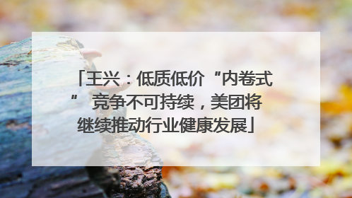 王兴：低质低价“内卷式” 竞争不可持续，美团将继续推动行业健康发展