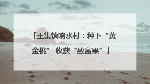 王集镇响水村：种下“黄金桃” 收获“致富果”