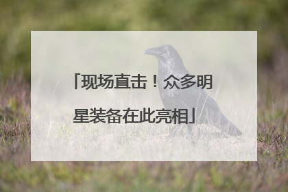 现场直击！众多明星装备在此亮相