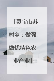 灵宝市苏村乡：做强做优特色农业产业