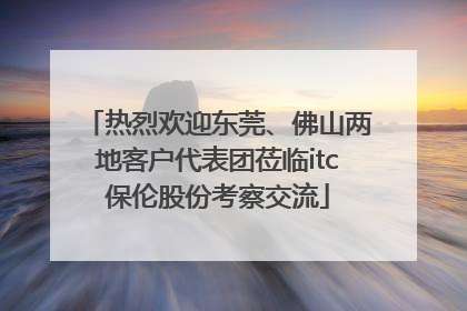 热烈欢迎东莞、佛山两地客户代表团莅临itc保伦股份考察交流