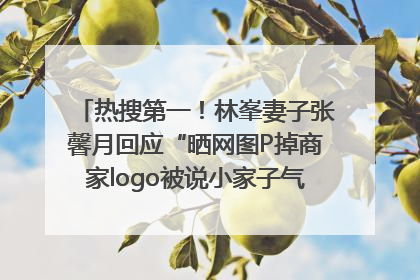 热搜第一！林峯妻子张馨月回应“晒网图P掉商家logo被说小家子气”：没那么多想法，可能有人恶意解读