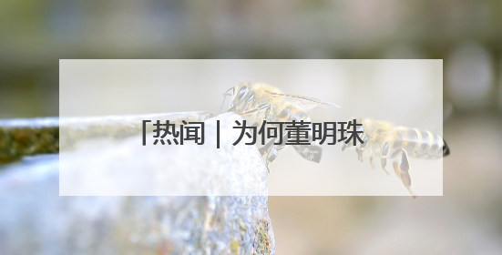 热闻｜为何董明珠与孟羽童选择此时在一起？网友：利益面前啥都能和解