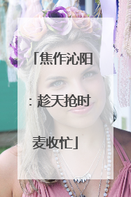 焦作沁阳：趁天抢时麦收忙