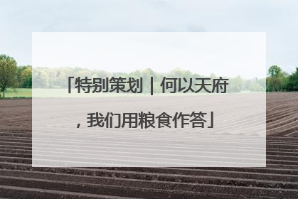 特别策划｜何以天府，我们用粮食作答