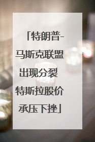 特朗普-马斯克联盟出现分裂 特斯拉股价承压下挫