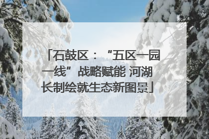 石鼓区：“五区一园一线”战略赋能 河湖长制绘就生态新图景