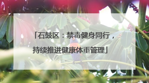 石鼓区：禁毒健身同行，持续推进健康体重管理
