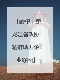 瞭望｜黑龙江省政协精准助力企业纾困