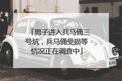 男子进入兵马俑三号坑，兵马俑受损等情况正在调查中