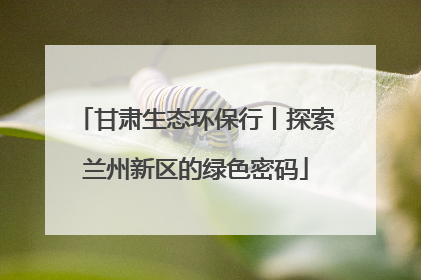甘肃生态环保行丨探索兰州新区的绿色密码