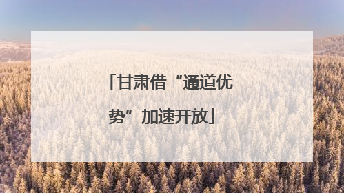甘肃借“通道优势”加速开放