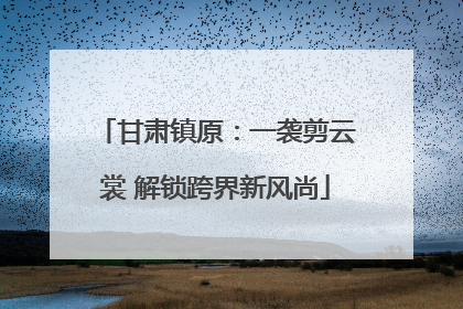 甘肃镇原：一袭剪云裳 解锁跨界新风尚