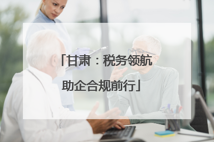 甘肃：税务领航 助企合规前行