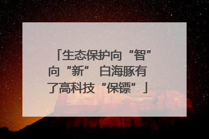 生态保护向“智”向“新” 白海豚有了高科技“保镖”
