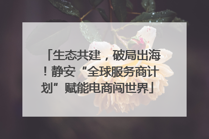 生态共建，破局出海！静安“全球服务商计划”赋能电商闯世界