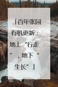 百年张园有机更新：地上“行走”，地下“生长”