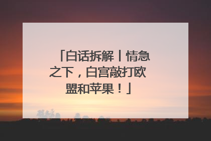 白话拆解丨情急之下，白宫敲打欧盟和苹果！