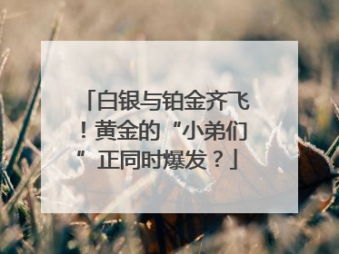 白银与铂金齐飞！黄金的“小弟们”正同时爆发？