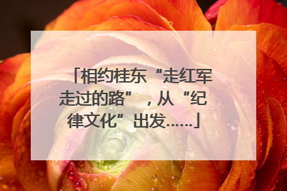 相约桂东“走红军走过的路”，从“纪律文化”出发……