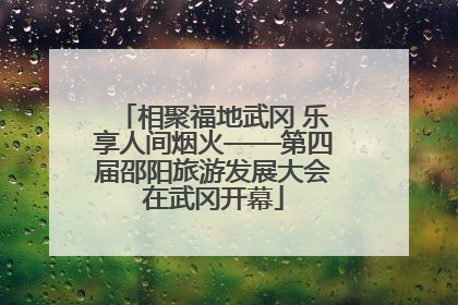 相聚福地武冈 乐享人间烟火——第四届邵阳旅游发展大会在武冈开幕