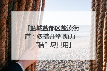 盐城盐都区盐渎街道：多措并举 助力“秸”尽其用