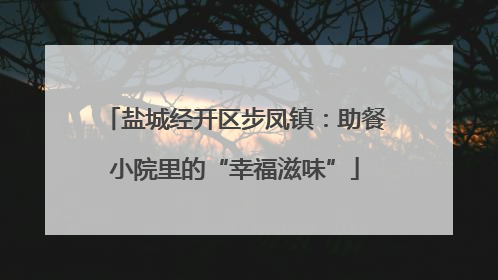 盐城经开区步凤镇：助餐小院里的“幸福滋味”