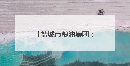 盐城市粮油集团：创新驱动助转型 提质增效促发展