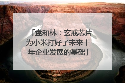 盘和林：玄戒芯片为小米打好了未来十年企业发展的基础