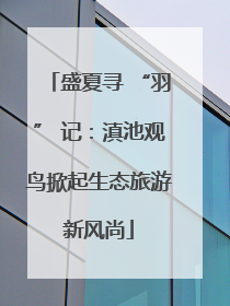 盛夏寻 “羽” 记：滇池观鸟掀起生态旅游新风尚