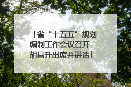 省“十五五”规划编制工作会议召开 胡昌升出席并讲话