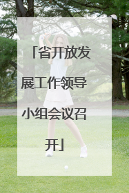 省开放发展工作领导小组会议召开