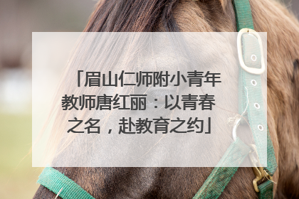 眉山仁师附小青年教师唐红丽：以青春之名，赴教育之约