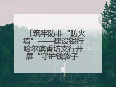 筑牢防非“防火墙”——建设银行哈尔滨香坊支行开展“守护钱袋子 护好幸福家”集中宣传日活动