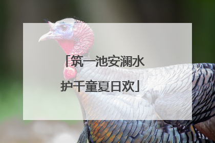 筑一池安澜水 护千童夏日欢