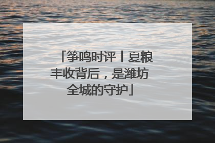 筝鸣时评丨夏粮丰收背后，是潍坊全城的守护