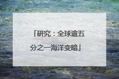 研究：全球逾五分之一海洋变暗