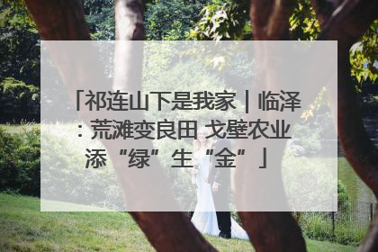 祁连山下是我家｜临泽：荒滩变良田 戈壁农业添“绿”生“金”