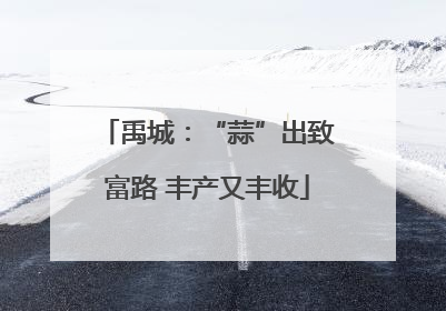禹城：“蒜”出致富路 丰产又丰收