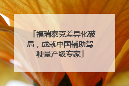 福瑞泰克差异化破局，成就中国辅助驾驶量产级专家
