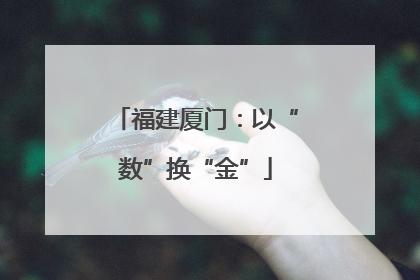 福建厦门：以“数”换“金”