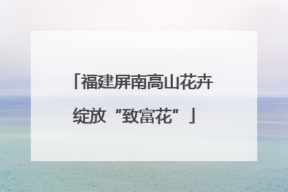 福建屏南高山花卉绽放“致富花”