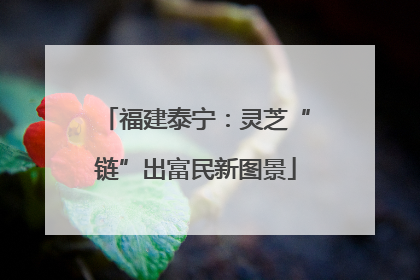 福建泰宁：灵芝“链”出富民新图景