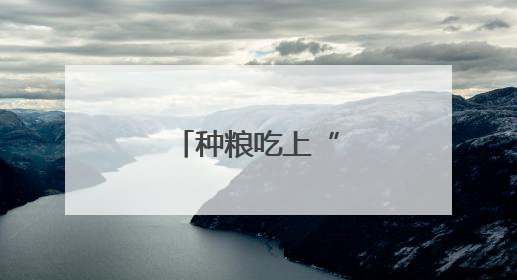 种粮吃上“定心丸”
